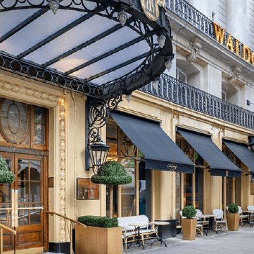 فندق دليان ( تجريبي فقط )